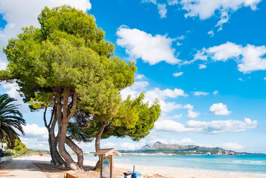 Playa de Muro Mallorca